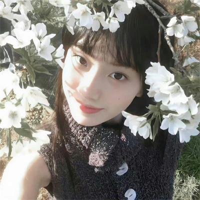 拳馆英雄第一季